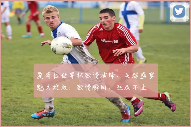 夏奇拉世界杯激情演绎，足球盛宴魅力绽放，激情瞬间，狂欢不止