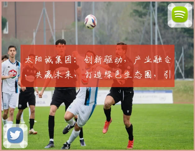 太阳诚集团：创新驱动，产业融合，共赢未来，打造绿色生态圈，引领行业新风尚