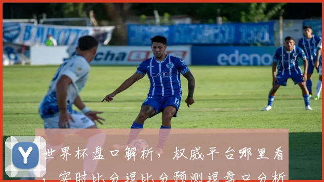 世界杯盘口解析，权威平台哪里看，实时比分逗比分预测逗盘口分析