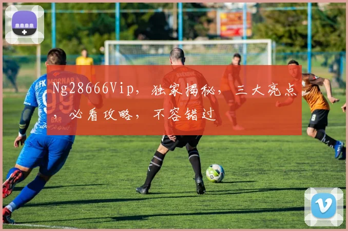 Ng28666Vip，独家揭秘，三大亮点，必看攻略，不容错过